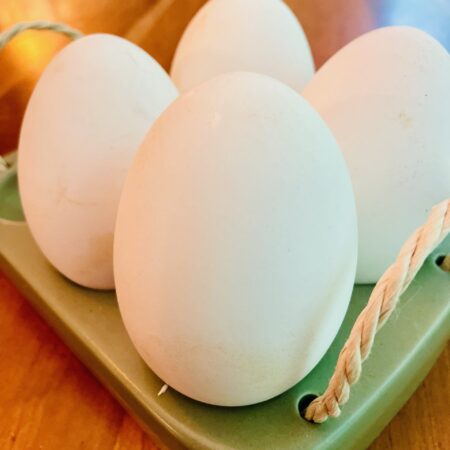 Goose Eggs