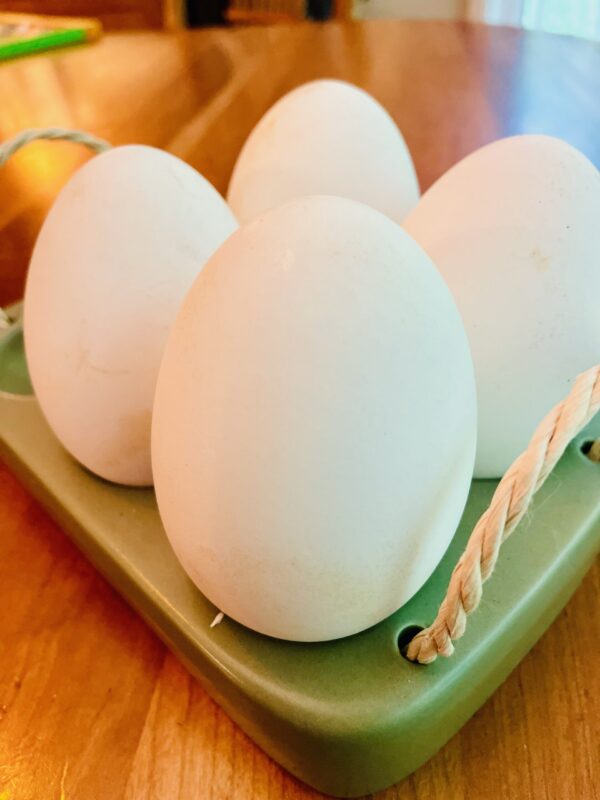 Goose Eggs